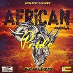 cover: Tony Matterhorn - African Pride