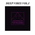 cover: Various - Deep Vibes Vol I