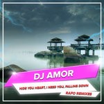 cover: Dj Amor - Hide You Heart, I Need You, Falling Down (RAFO Remixes)