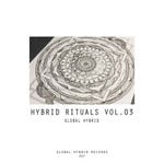 cover: Alizarina|Fanfara Electronica|Rafael Aragon - Hybrid Rituals Vol 3