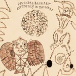 cover: Devendra Banhart - Rejoicing In The Hands