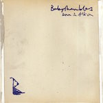 cover: Babyshambles - Down In Albion