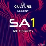 cover: This Culture - Destiny