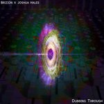 cover: Brizion|Joshua Hales - Dubbing Through