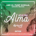 cover: Lari Hi|Leandro Buenno|Pump Gorilla - Acalma A Alma