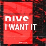 cover: Diys - I Want It