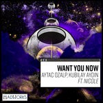 cover: Aytac Ozalp & Kubilay Aydin|Nicole - Want You Now