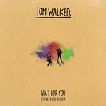 cover: Tom Walker - Wait For You (Steve Void Remix)