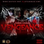 cover: Terro Savage - Vengeance (Explicit)