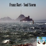 cover: Franz Bart - Soul Storm