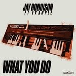 cover: Jay Robinson & Example - What You Do