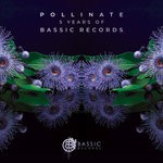 cover: Somersault|Various - Pollinate (5 Years Of Bassic Records)