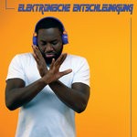 cover: Various - Elektronische Entschleunigung