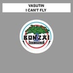 cover: Vasutin - I Can't Fly