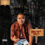 cover: Prince Tee - Dangerous Forest