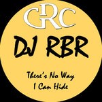 cover: Dj Rbr - There's No Way I Can Hide