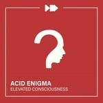 cover: Acid Enigma - Elevated Consciousness