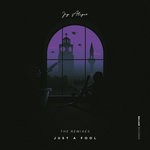 cover: Jay Aliyev - Just A Fool (Remixes)