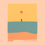 cover: Kokiri - Walk On Water