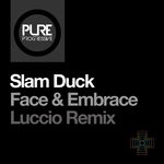 cover: Slam Duck - Face & Embrace (Luccio Remix)