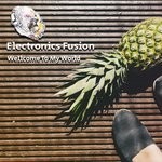 cover: Electronics Fusion - Wellcome To My World