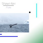 cover: Shawn Kerr - Fluke