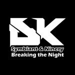 cover: Symbiant|Ninery - Breaking The Night