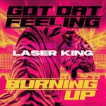 cover: Laser King - Got Dat Feeling