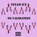 cover: Steam Ice - No Validation (Explicit)