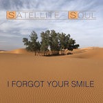 cover: Satellite Soul - I Forgot Your Smile