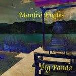 cover: Manfro Eugles - Big Panda