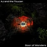 cover: Aj & The Toucan - Door Of Wonders