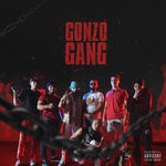 cover: Gonzo G - Gonzo Gang