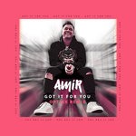 cover: Amir - Got It For You