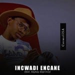 cover: Caswellsa - Incwadi Encane