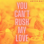 cover: Abyss Bay - You Can't Rush My Love