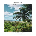 cover: Anil Chawla - Jurassic Car Park