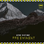 cover: Afro Victimz - Pre-Eminent