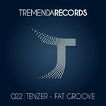 cover: Tenzer - Fat Groove