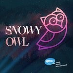 cover: Snowy Owl - No Illusions, Owl Of Snow