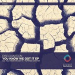 cover: Discognition - You Know We Got It