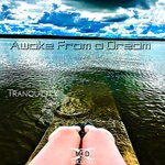 cover: Awake From A Dream - Tranquility