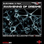 cover: Elvis Xhema|D-tech - Awakening Of Dreams