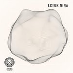 cover: Ector Nina - Dynamic Fluid