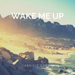 cover: Gabriele Gerosi - Wake Me Up