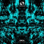 cover: Orca - Valhalla Can Wait