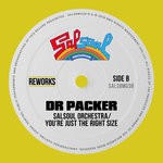 cover: The Salsoul Orchestra - You're Just The Right Size (Dr Packer Rework)