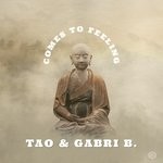 cover: Gabri B & Tao - Comes To Feeling