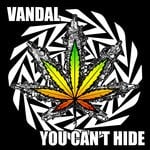 cover: Vandal - You Can't Hide