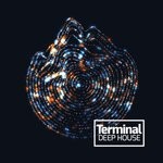 cover: Various - Terminal Deep House